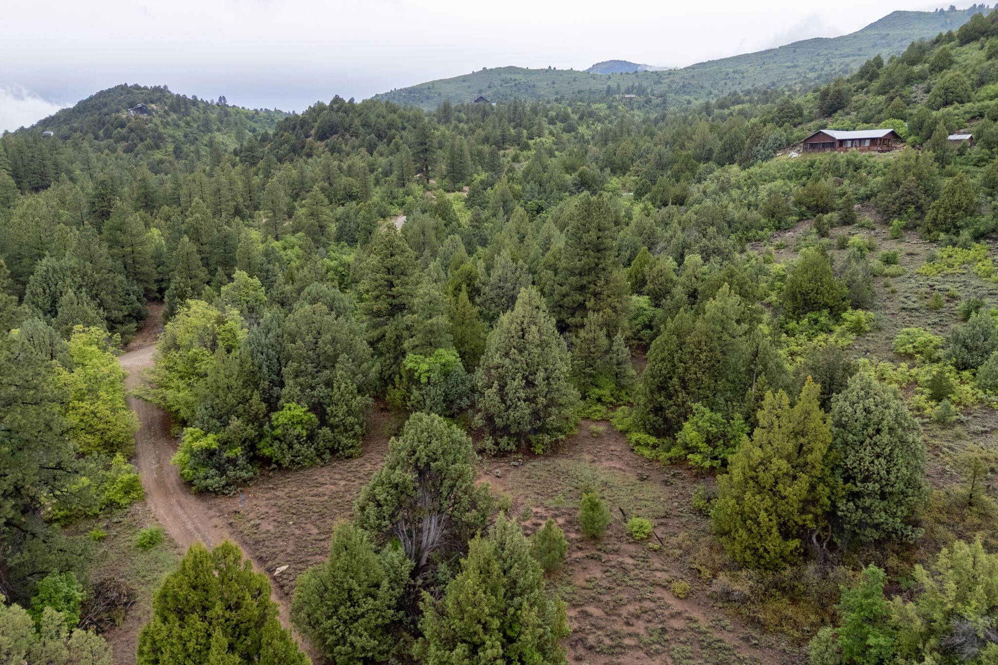 E Oak Tree DR, Virgin, UT 84779