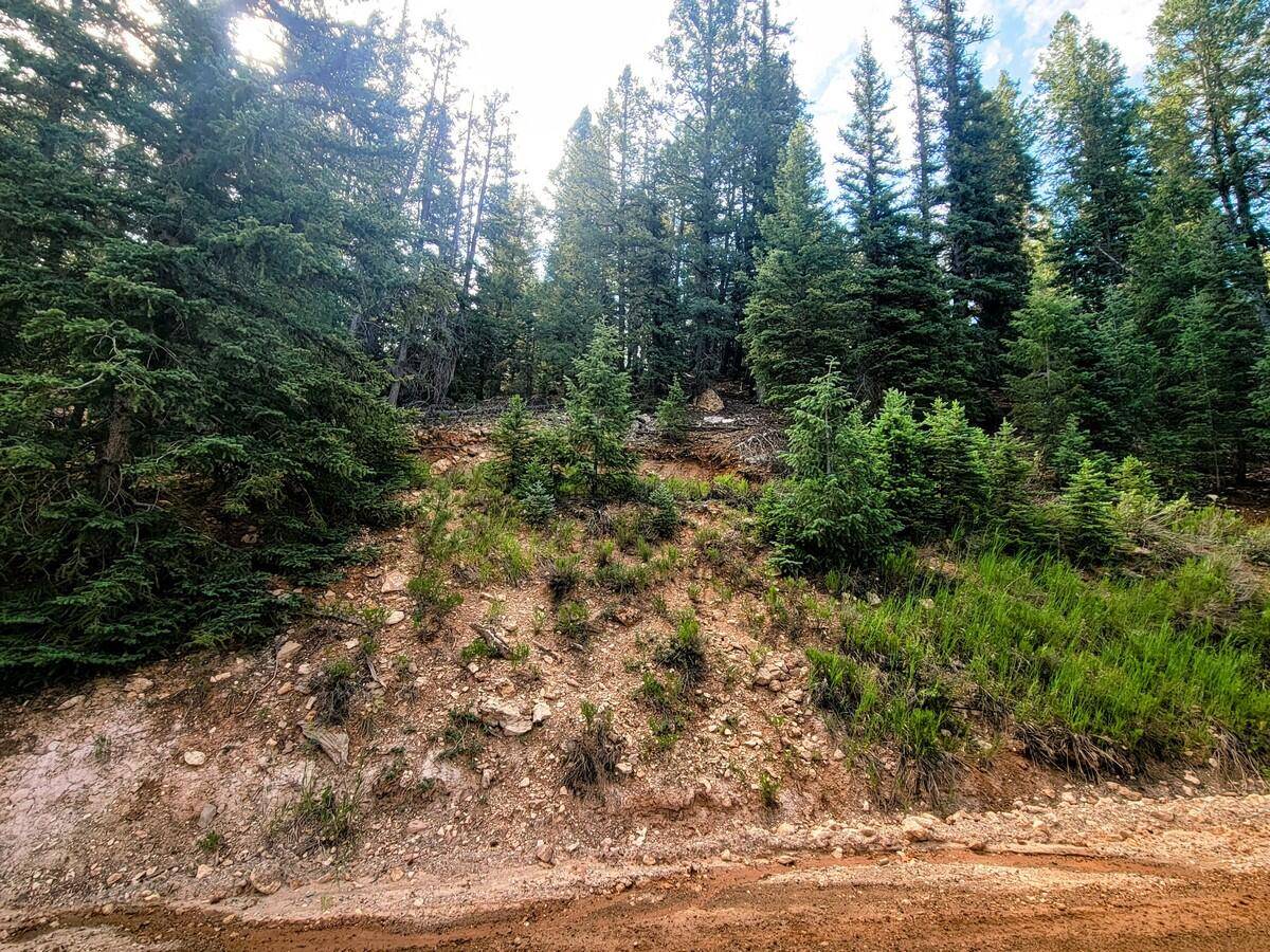 Duck Creek, UT 84762,770 N Skyline View DR