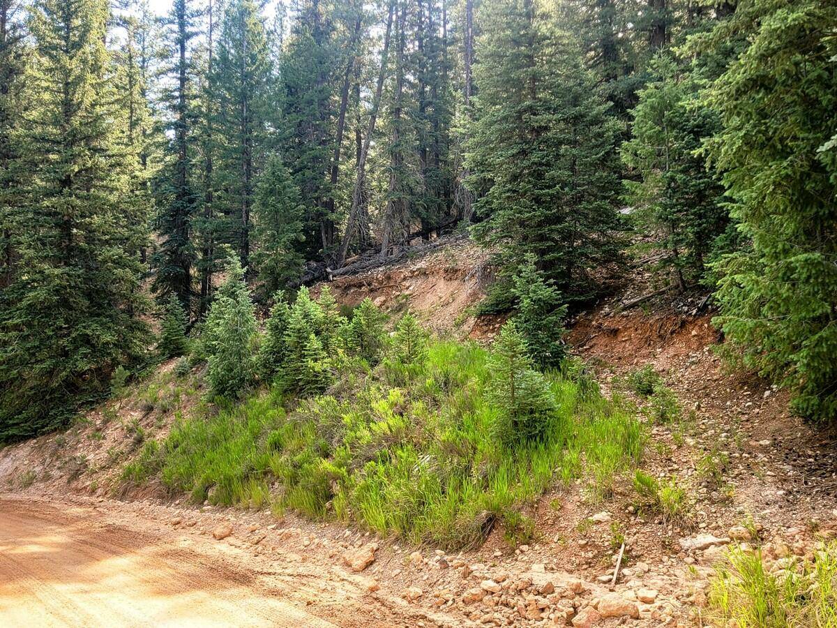 Duck Creek, UT 84762,770 N Skyline View DR