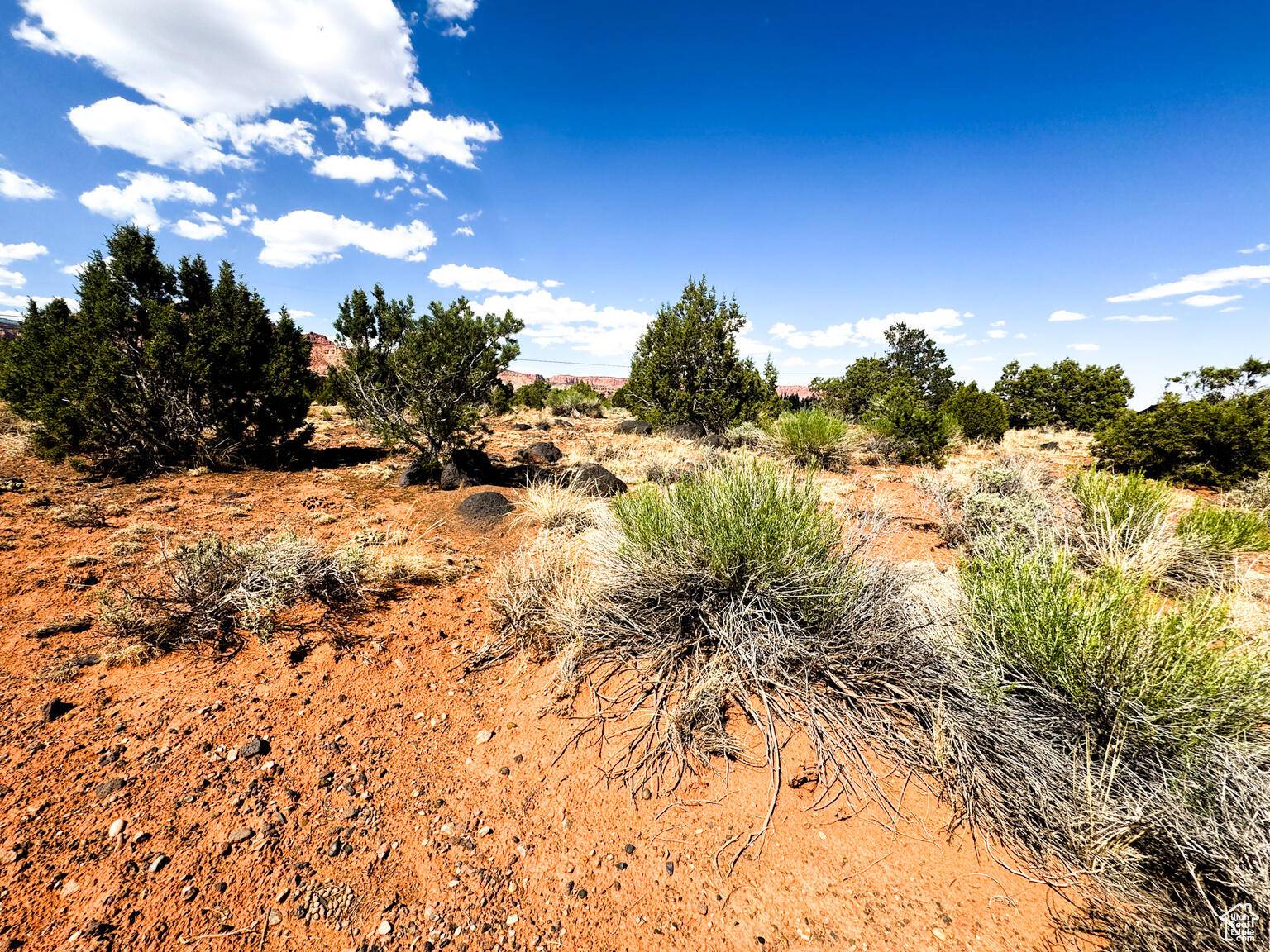 Torrey, UT 84775