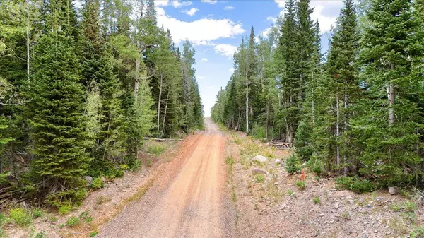 Brian Head, UT 84719,384 N 275 E