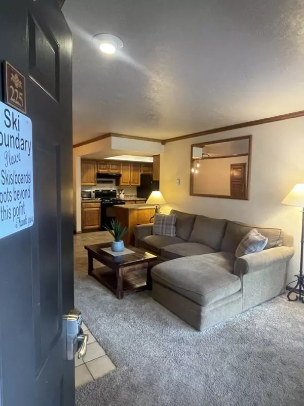 Brian Head, UT 84719,150 W Ridge View 225