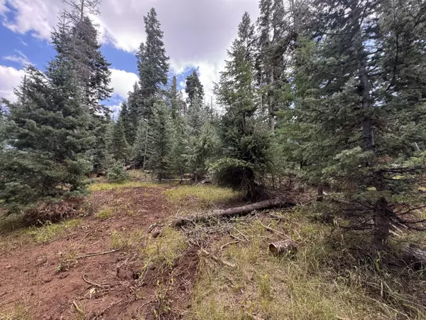 975 W Twisted Trail, Duck Creek, UT 84762