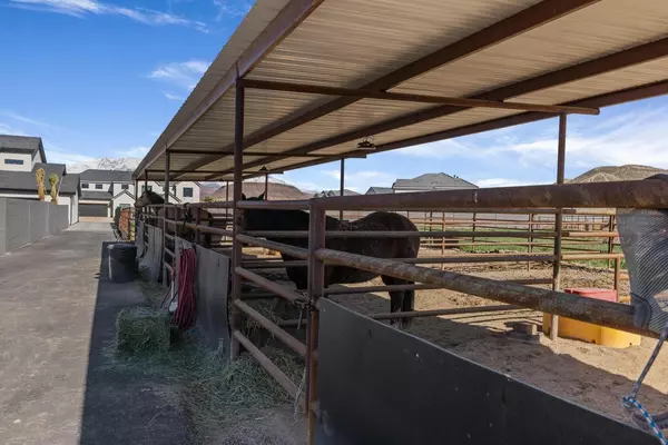 Washington, UT 84780,646 E Pine ST