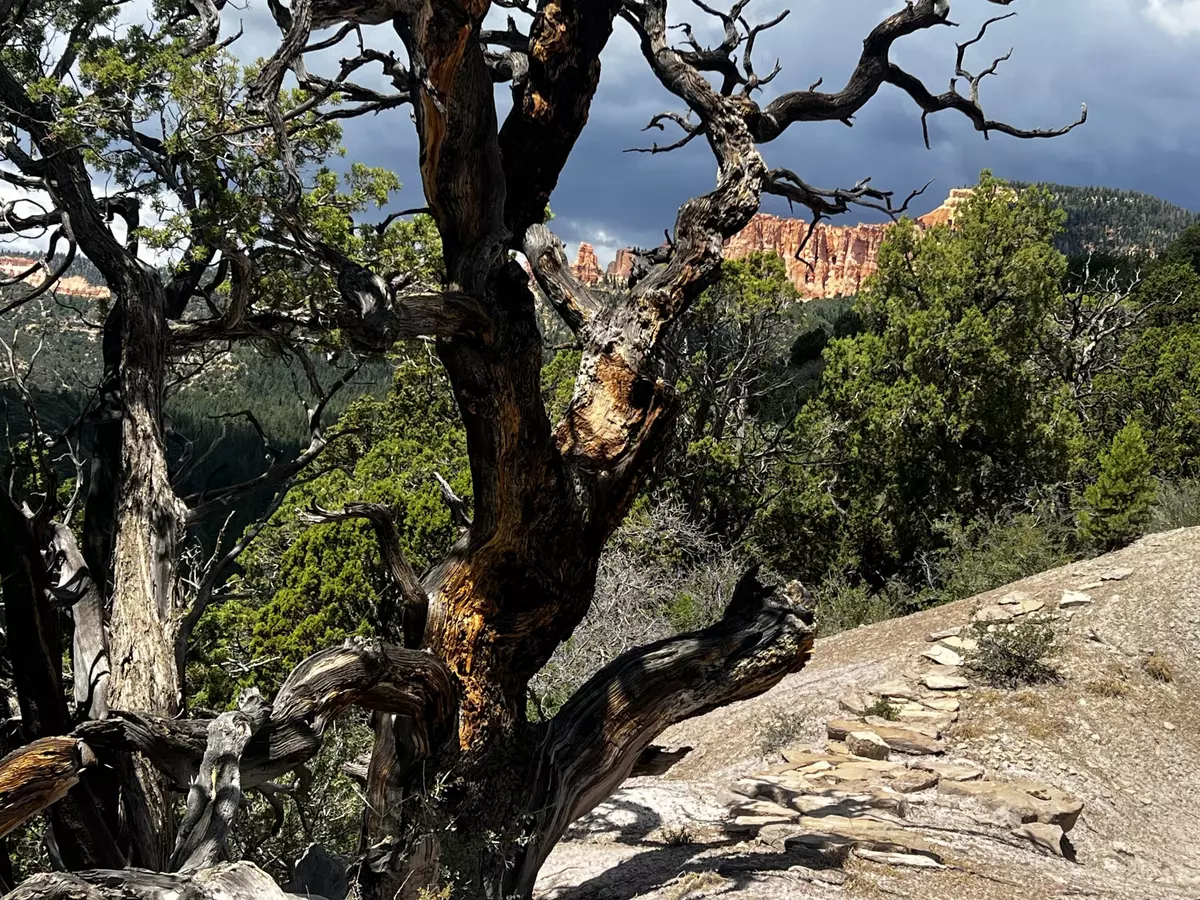 Kanab, UT 84741,Trail's End Drive