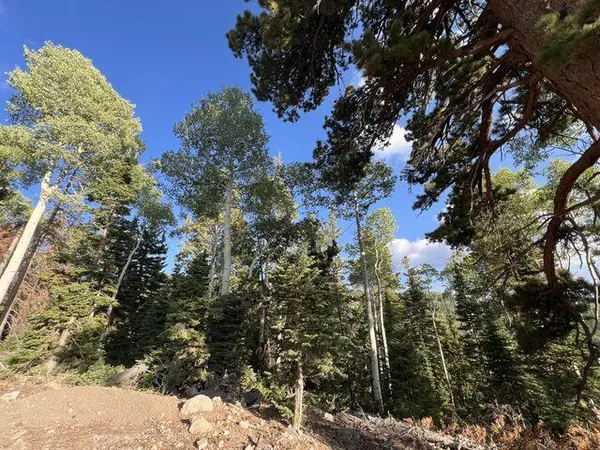 Beaver, UT 84713,Ponderosa West Village