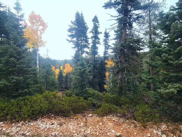 Duck Creek, UT 84762,55 S Quakie PL