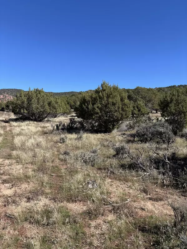 Kanarraville, UT 84742