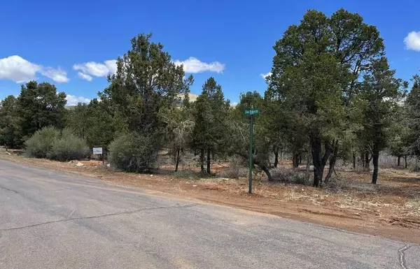 Orderville, UT 84758,793 S Zion Ridge DR