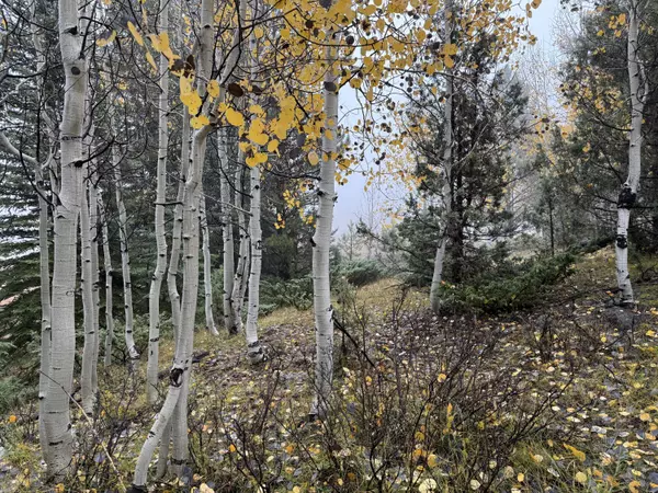 Duck Creek, UT 84762,3215 E Debonair DR