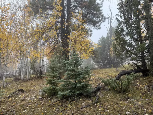 Duck Creek, UT 84762,3215 E Debonair DR