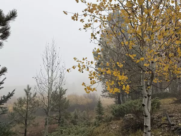 Duck Creek, UT 84762,3215 E Debonair DR