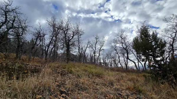 Mount Pleasant, UT 84647,138 E Oak Ridge Drive DR