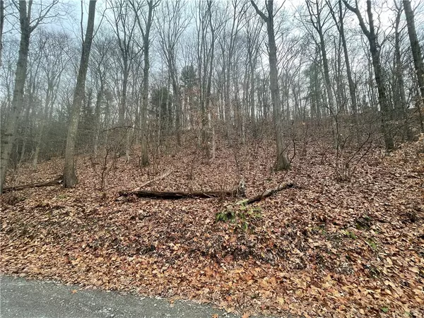 0 Newman Rd, Independence - Bea, PA 15026
