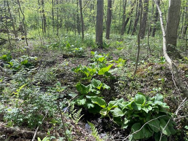 000 Conneaut Lake Road, Sugar Grove Twp, PA 16125