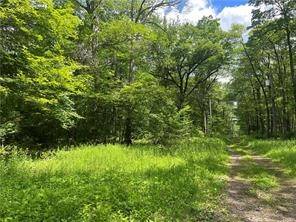 Lots 81, 82, 83, 84 Innsbruck, Jenner Twp, PA 15547
