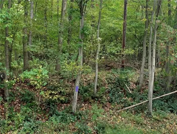 0 Old Plank-Marharg road, Penn Twp, PA 16002