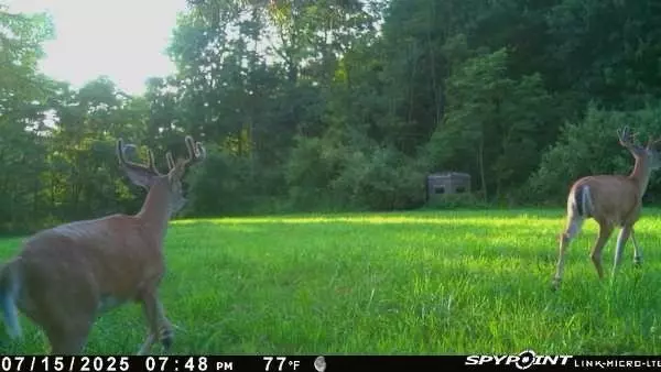 Brookville Area School District, PA 15864,0 Fryer Rd