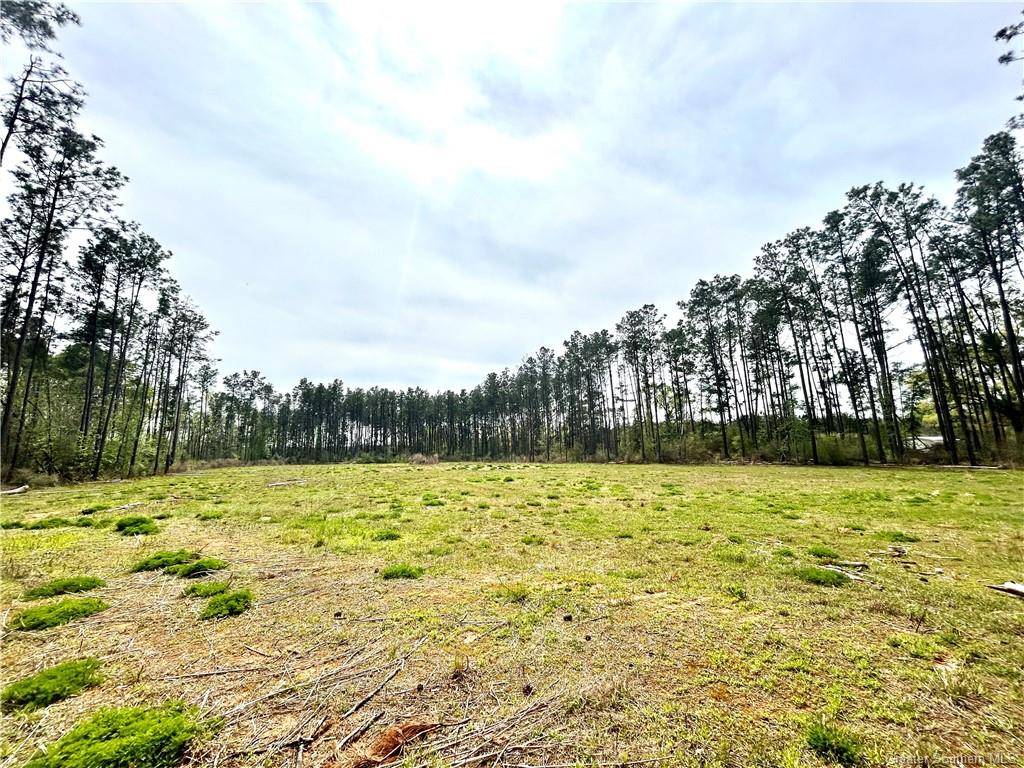 0 Fish Hole LOOP, Merryville, LA 70653