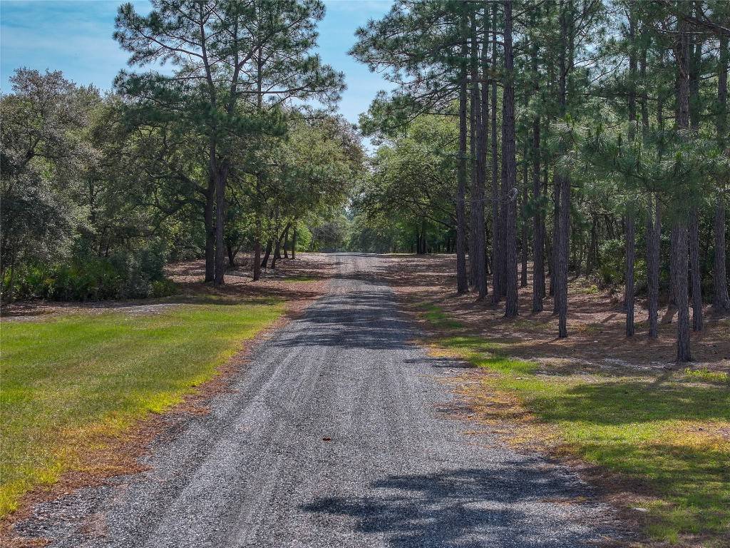 Keystone Heights, FL 32656,8115 ODOM RANCH TRL