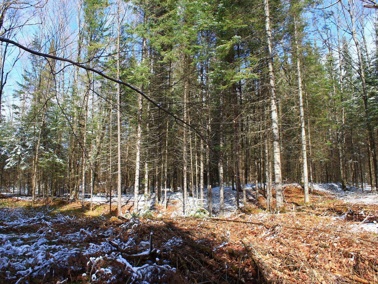 Springstead, WI 54552,Off HWY 182 #Parcel B
