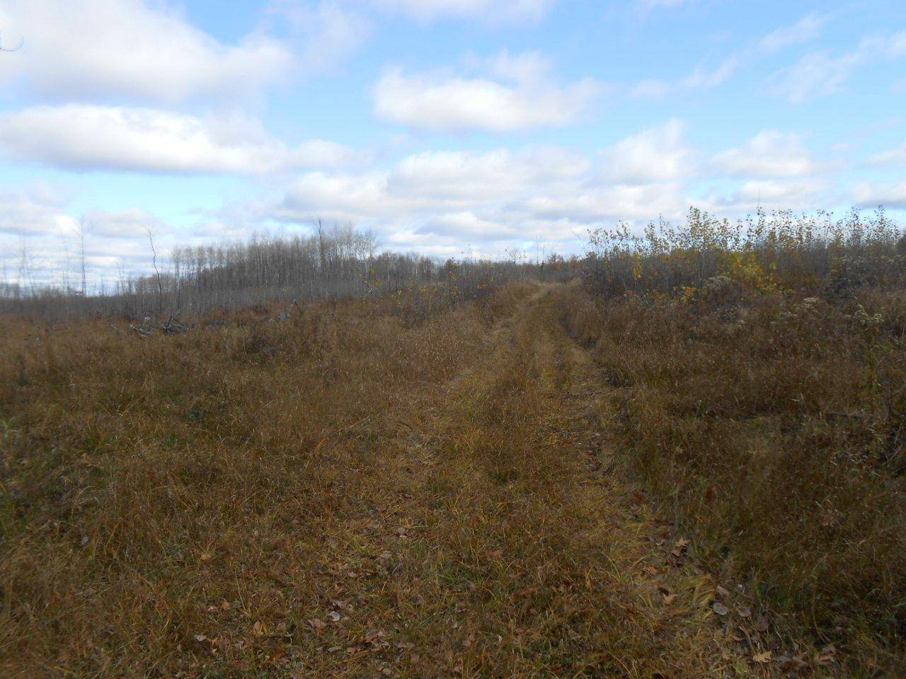 Prentice, WI 54556,ON GOETZKE RD