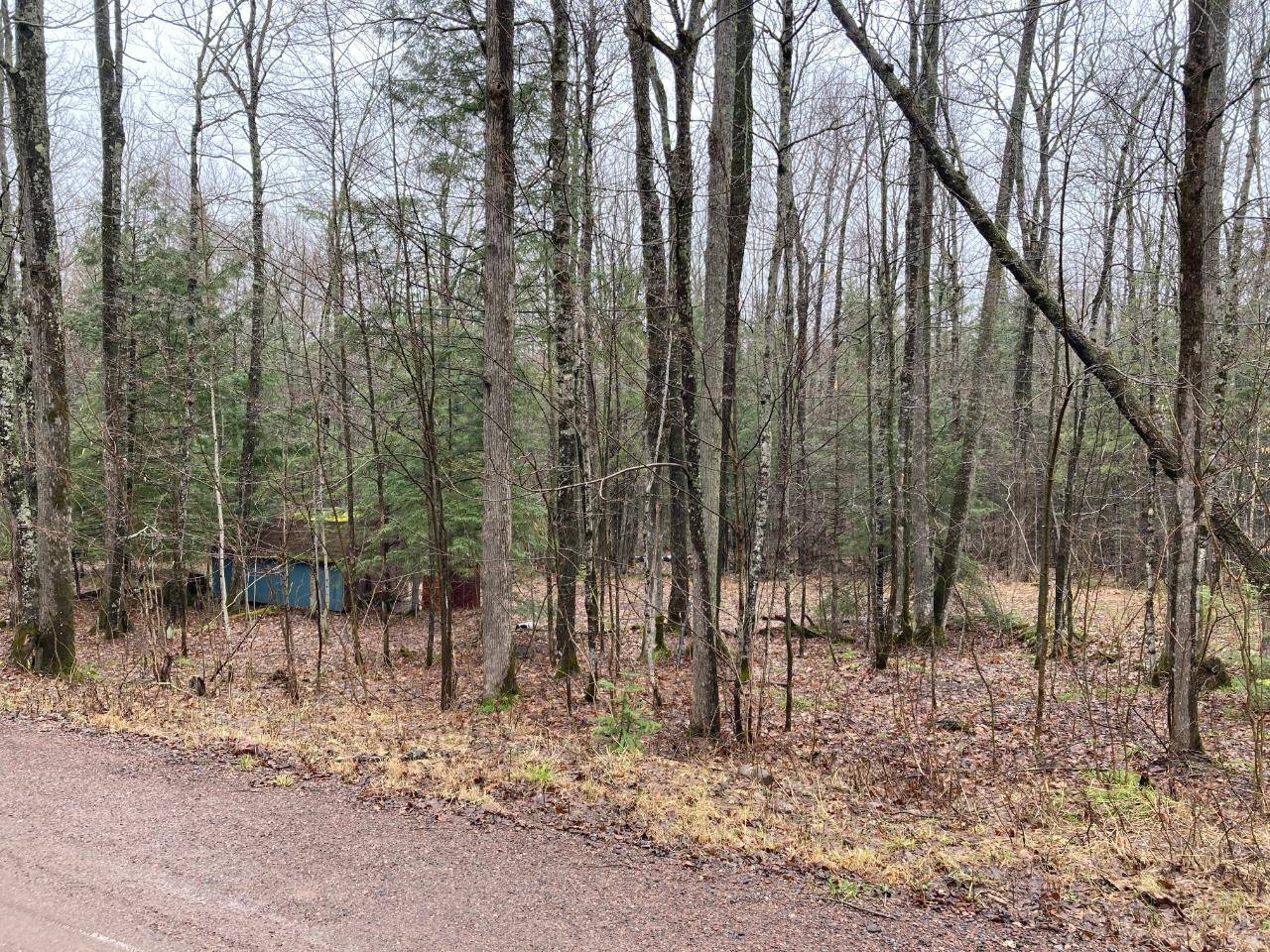 Mellen, WI 54546,ON POPKO RD