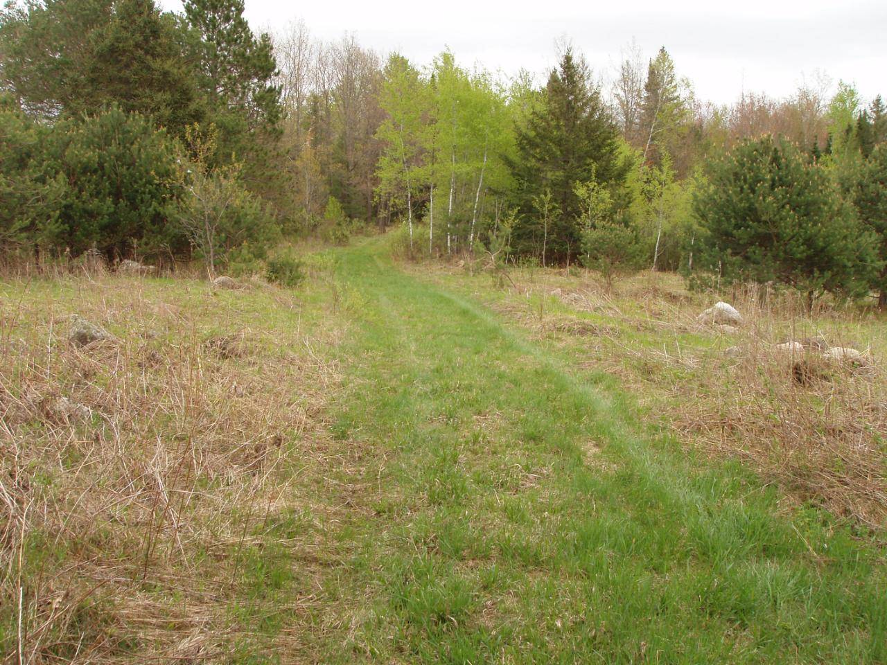 Butternut, WI 54514,ON BIRCHWOOD LN