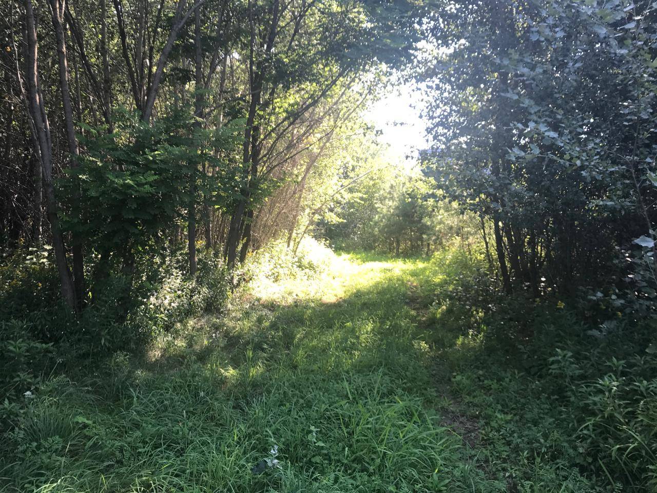 Glidden, WI 54527,76443 THORP RD