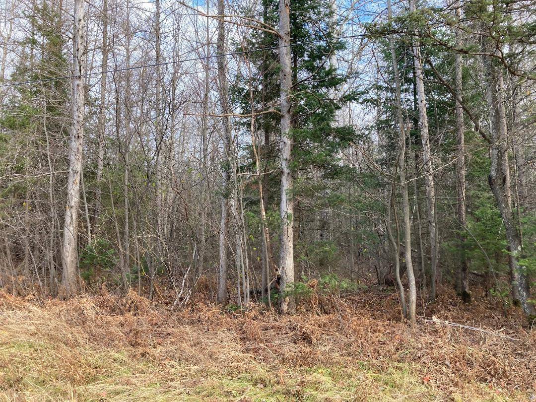 TBD CTH C, Hurley, WI 54534