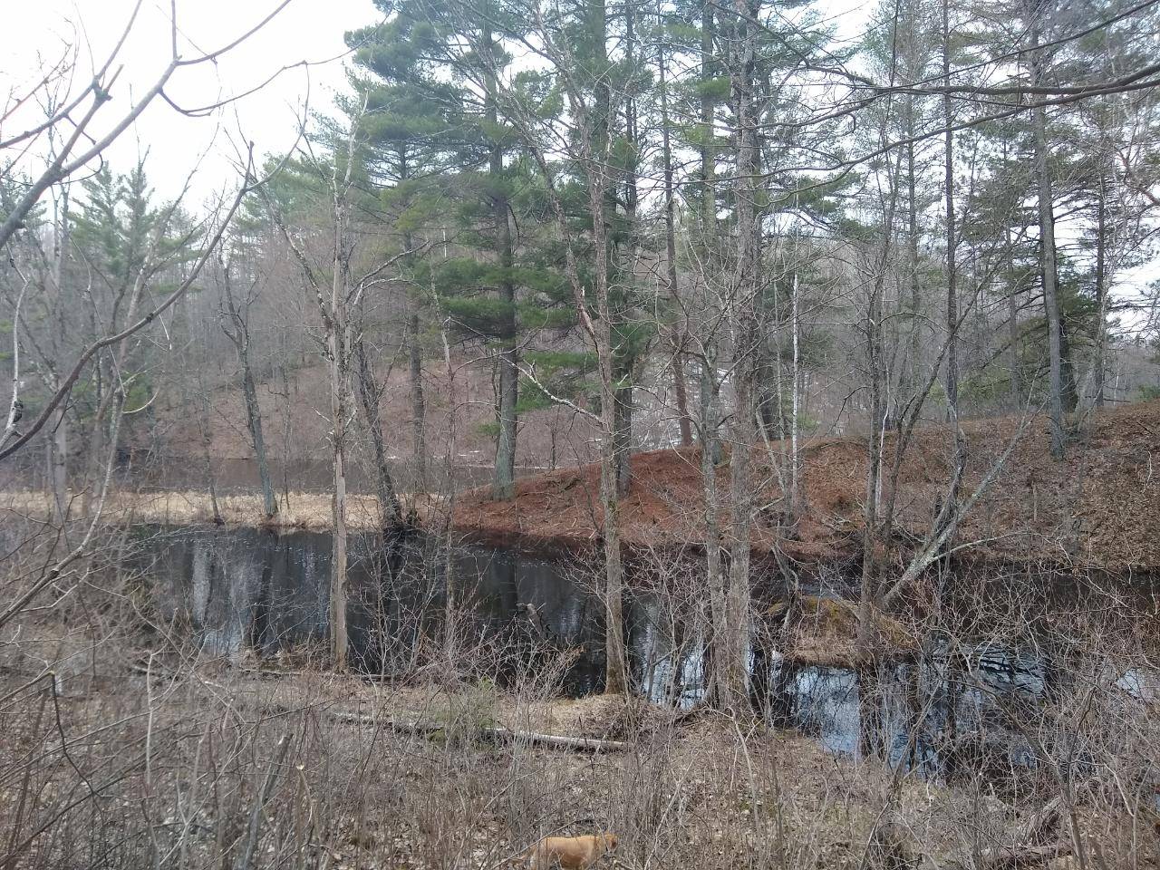 Harshaw, WI 54529,Lot 19 RUNNING BEAR LN