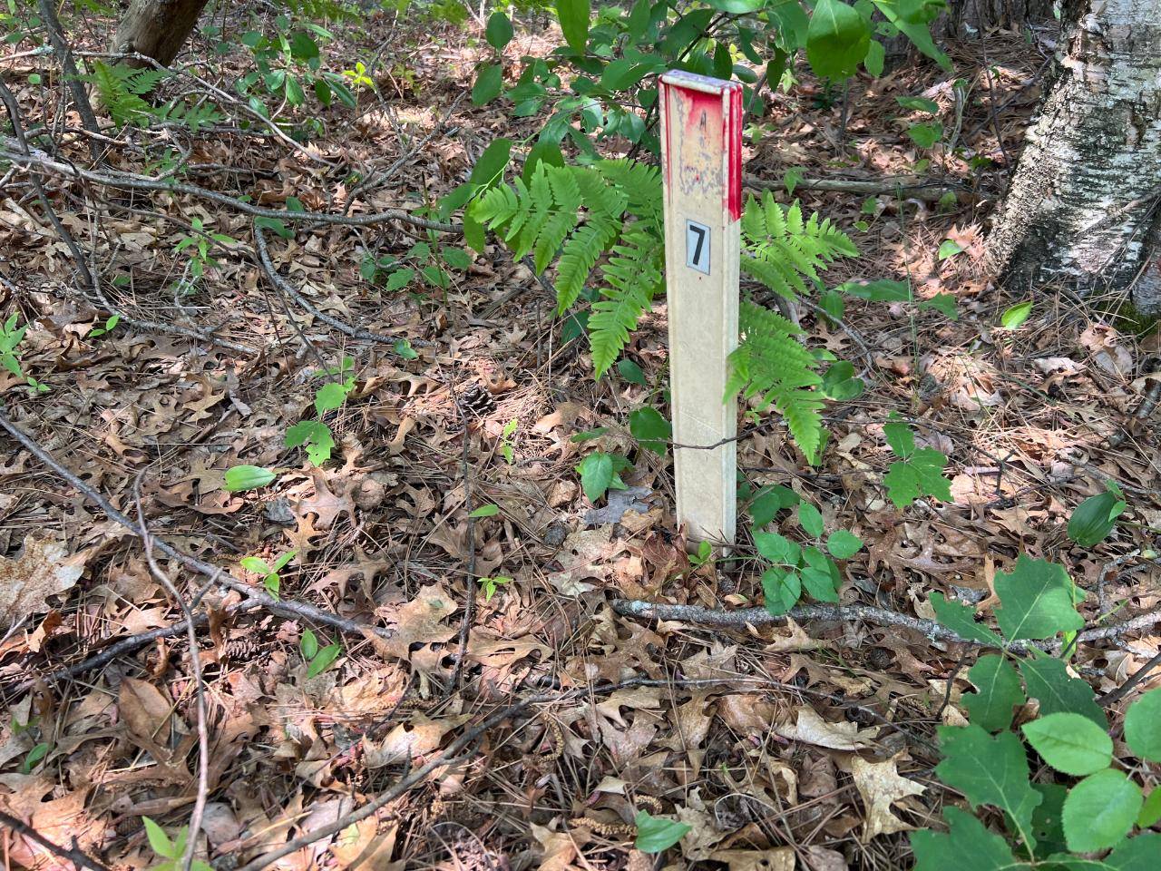 Tomahawk, WI 54487,ON THE POINT RD