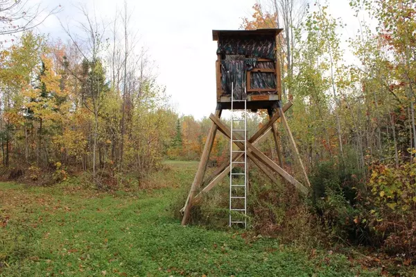 Off WARREN RD, Fifield, WI 54524