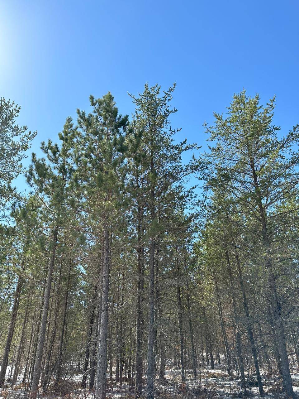 ON CREEK RD, WI 71072