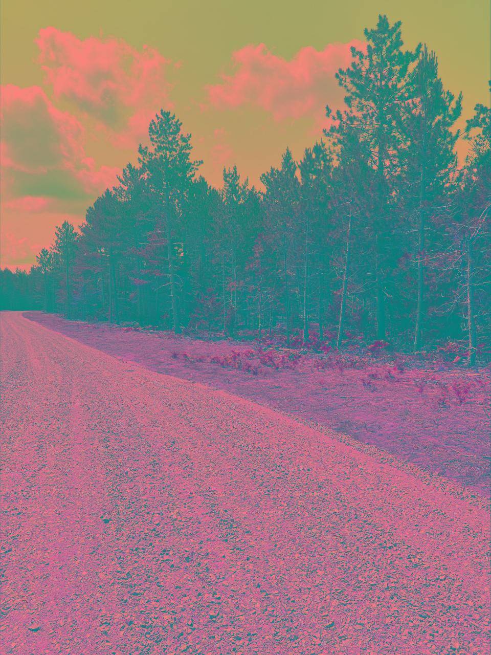 Rhinelander, WI 54501,lot 8 JENNIE RAISEN LN