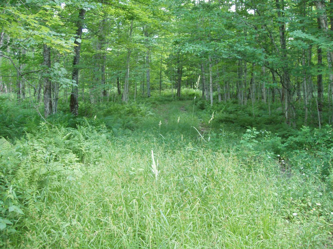 Glidden, WI 54527,ON MACKENBERG RD #60+/- A