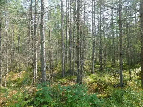 Armstrong Creek, WI 54103,20 Acres FATLA RD