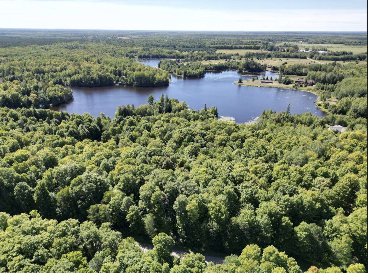 N15615 WOODDUCK DR, Park Falls, WI 54552