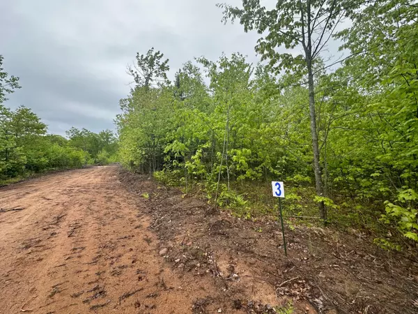 Land O Lakes, WI 54540,Lot 3 CTH B
