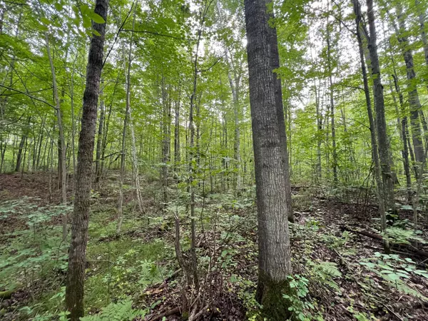 Merrill, WI 54452,ON HEINEMAN RD