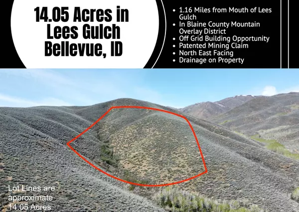 Bellevue, ID 83313,TBD Lees Gulch Rd