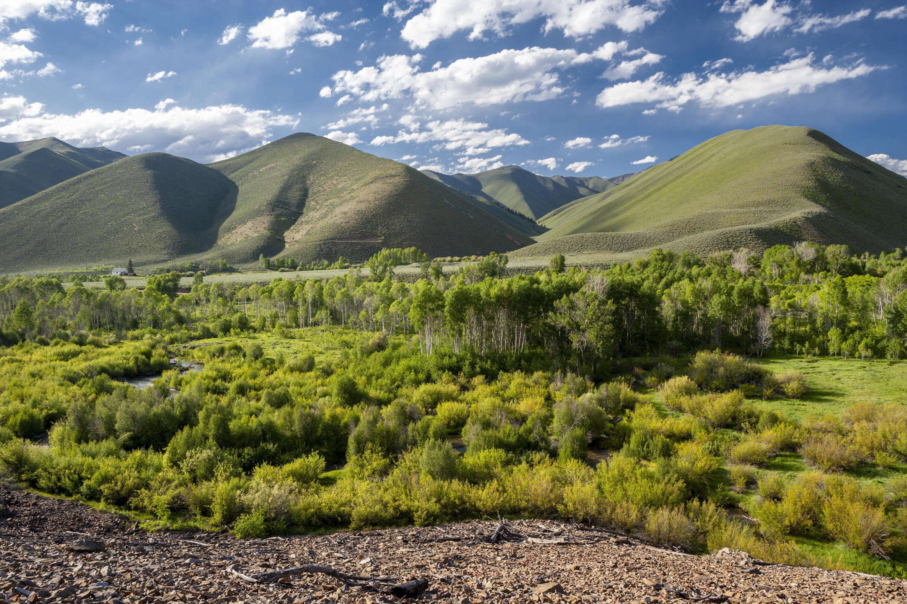 Blaine County, ID 83333,TBD Lot 7 East Fork Rd