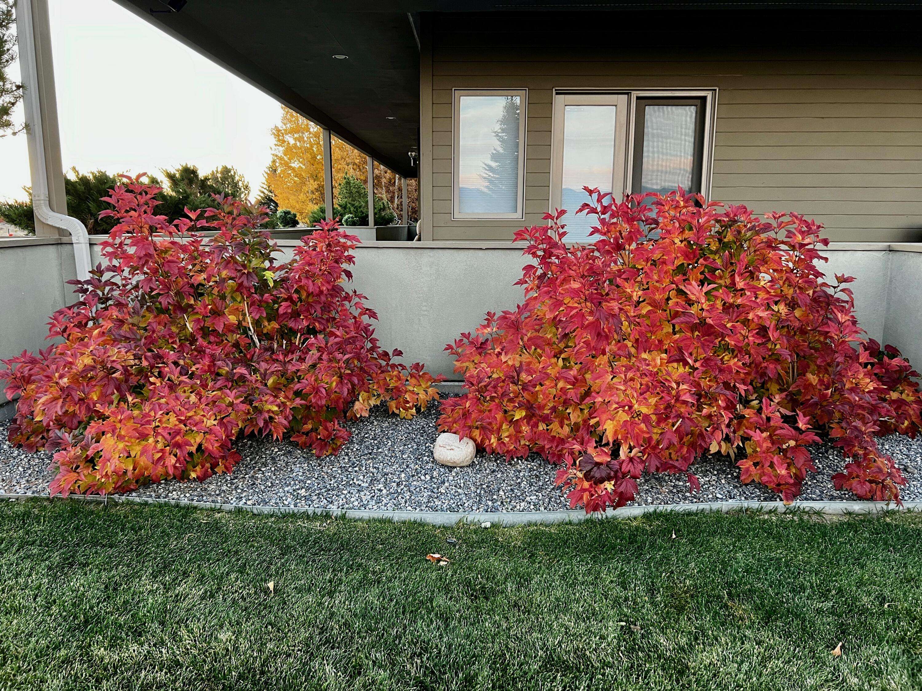 Mackay, ID 83251,6000 Bartlett Point Rd
