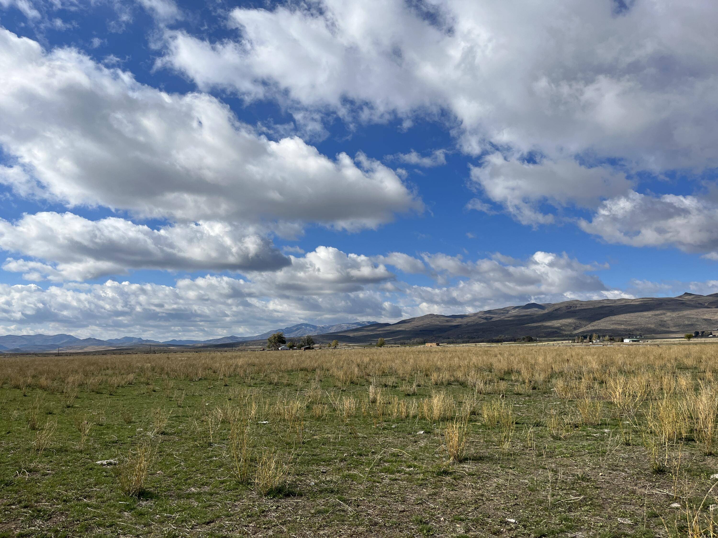 Carey, ID 83320,TBD Peck Rd