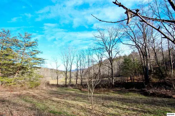 4.02 GOLDFINCH LN, Hartford, TN 37753