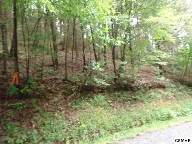 Lot 98 Bueno VIS, Cosby, TN 37722