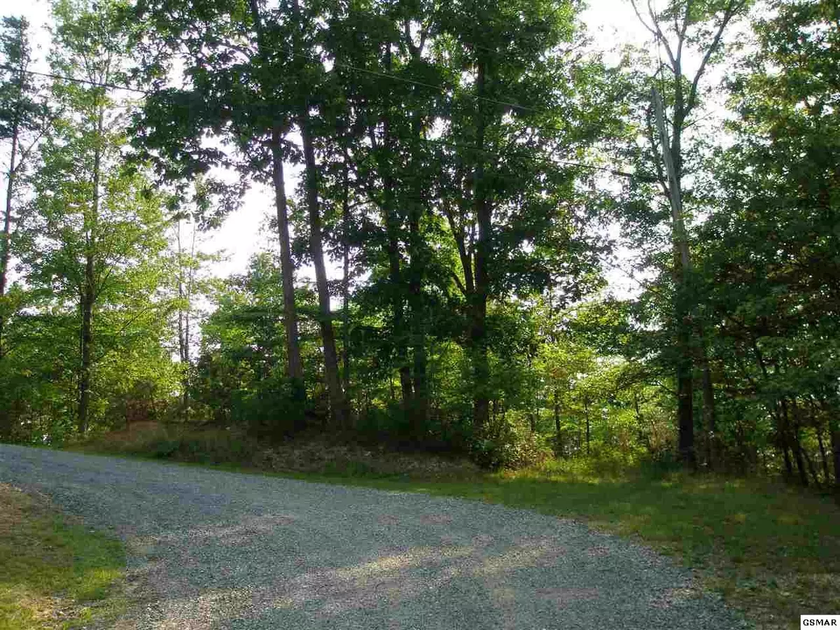 Sevierville, TN 37862,Lot 13 & 14 Bear Paw Ridge WAY