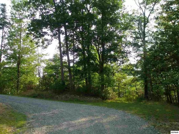 Lot 13 & 14 Bear Paw Ridge WAY, Sevierville, TN 37862