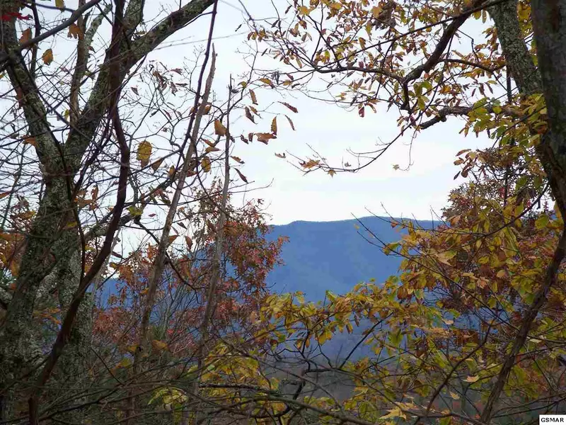 Lots 2, 3, 4 Scenic TRL, Gatlinburg, TN 37738