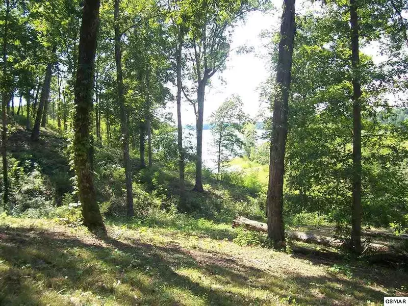 Lot 53 Sanctuary Shores WAY, Sevierville, TN 37876